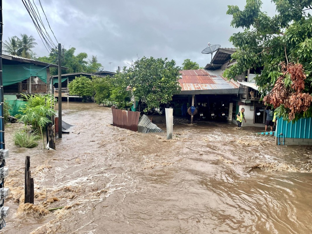 574541547_1267597665412428_2431554577027273357_n