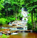 อุทยานแห่งชาติพาเจริญ 