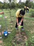 เข้าร่วมโครงการวันรักต้นไม้ประจำปีของชาติ พ.ศ. 2563 จังหวัดตาก