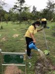 เข้าร่วมโครงการวันรักต้นไม้ประจำปีของชาติ พ.ศ. 2563 จังหวัดตาก