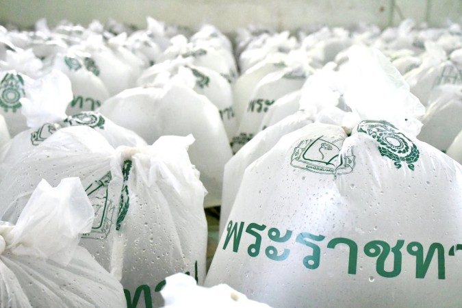 573294653_1264609152377946_7935978519670101791_n