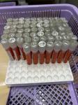 15/3/66 รพ.สต.บ้านสันป่าไร่ รณรงค์ตรวจคัดกรองมะเร็งปากมดลูก ด้วยวิธี HPV self sampling ระหว่างวันที่ 13-16 มีนาคม 2566 (วันที่สาม มีผู้มารับบริการ เพิ่มอีก 11 ราย รวมเป็น 67 ราย)