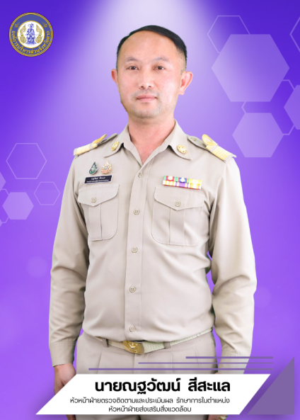นายณฐวัฒน์ สีสะแล