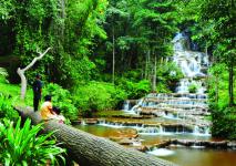 อุทยานแห่งชาติพาเจริญ 
